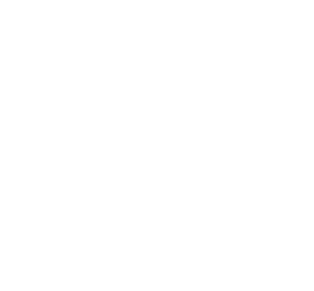 pizza party