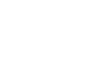 pizza party